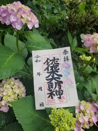 沙沙貴神社の御朱印