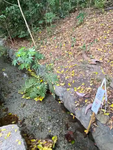 賀茂御祖神社（下鴨神社）の庭園
