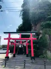 川津神社の鳥居