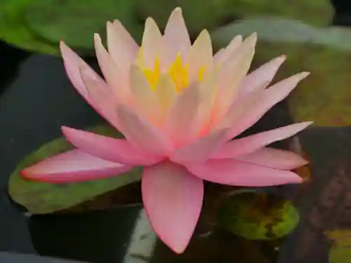 極楽山　浄土寺(北海道)