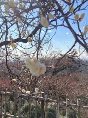 唐澤山神社(栃木県)