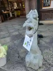 本圀寺の御朱印