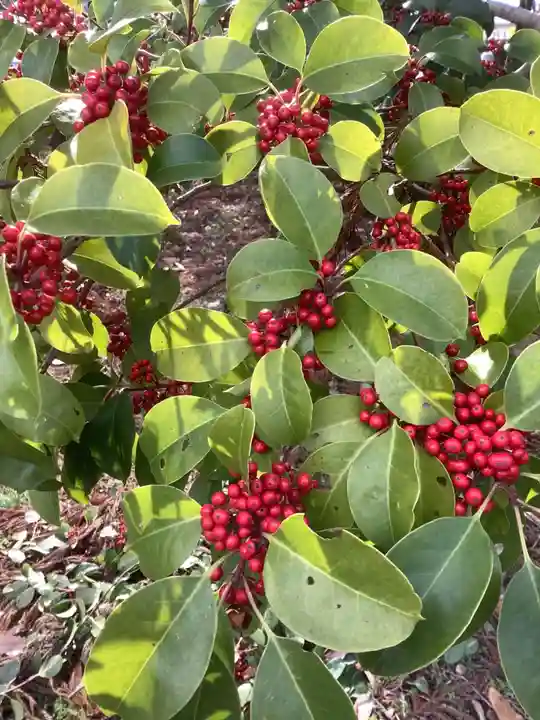 秋葉神社(岐阜県)