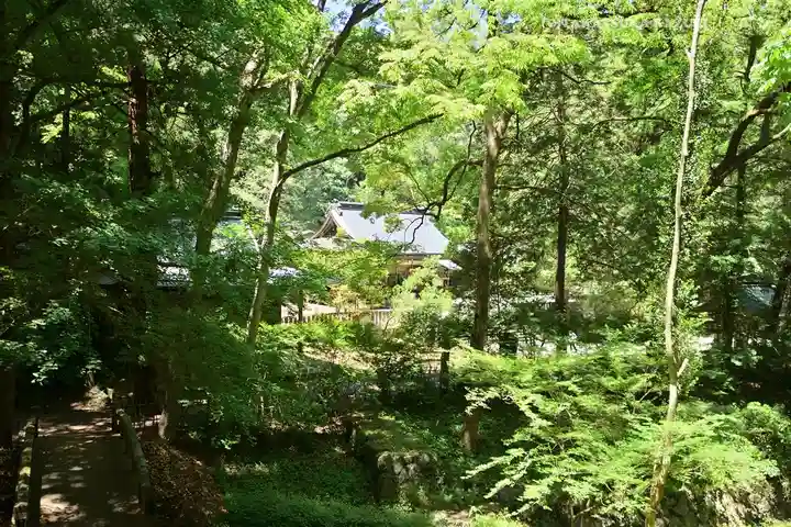 武蔵二宮 金鑚神社(埼玉県)