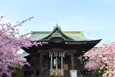 桜神宮の本殿・本堂
