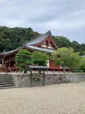 金剛寺(大阪府)
