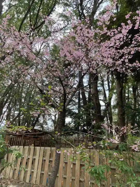 平塚八幡宮(神奈川県)