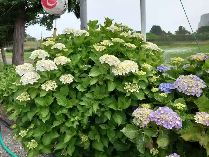磯山神社(栃木県)