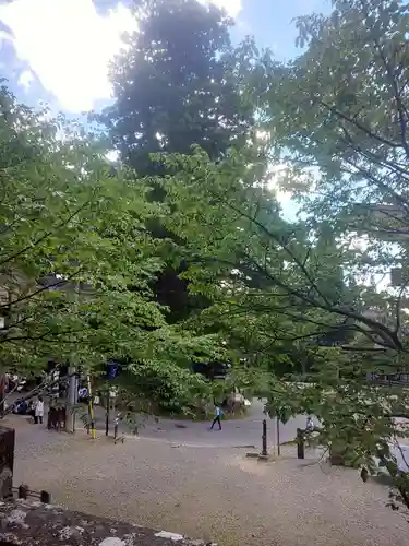 戸隠神社中社の自然