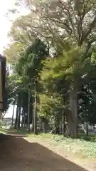 酒門神社(茨城県)