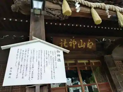 白山神社(東京都)
