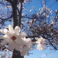 神明社（国府宮神明社）の自然