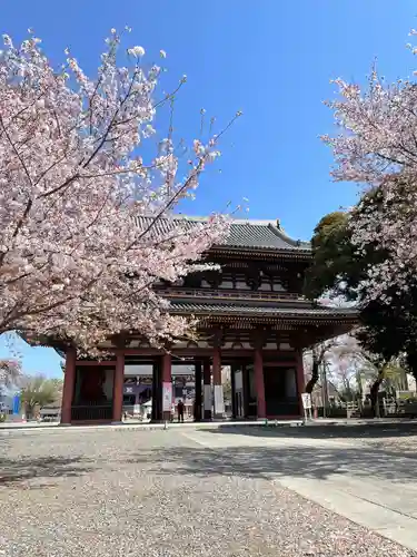 池上本門寺の山門