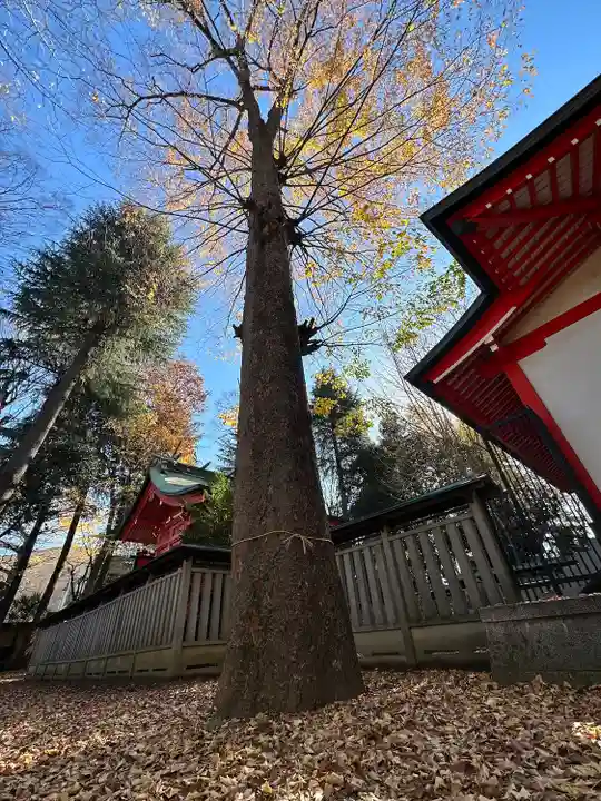 小野神社の自然