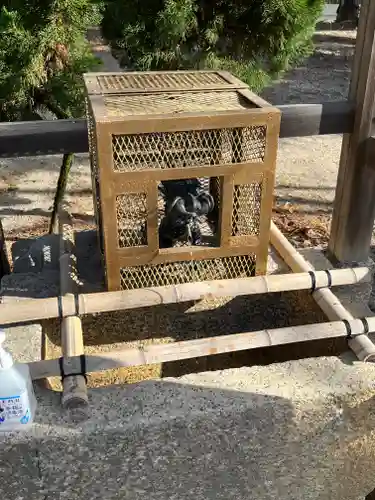 神田神社の建物その他