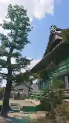 慈雲寺の自然