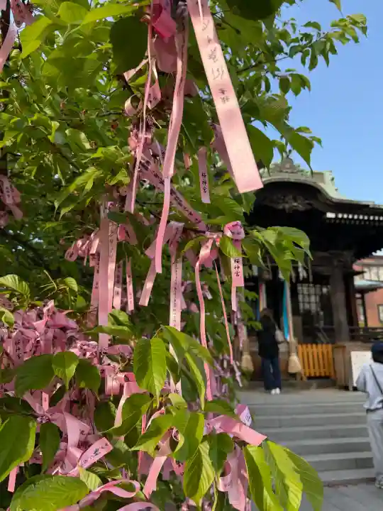 桜神宮の{uncategorized: "未分類", other: "その他", undefined: "問題あり", building: "その他建物", grave: "お墓", sacred_gate: "鳥居", guardian: "狛犬", statue: "像", buddha: "仏像", history: "歴史", nature: "自然", garden: "庭園", animal: "動物", pagoda: "塔", temizu: "手水舎", mountain_gate: "山門・神門", sanctuary: "本殿・本堂", subordinate: "末社・摂社", art: "芸術", scenery: "景色", jizo: "地蔵", ema: "絵馬", goshuin: "御朱印", omikuji: "おみくじ", items: "授与品その他", amulet: "お守り", goshuincho: "御朱印帳", eats: "食事", festival: "お祭り", votive_dance: "神楽", shichigosan: "七五三参", wedding: "結婚式", experience: "体験その他", initially: "初詣", around: "周辺", anti_infection: "感染症対策"}