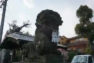 鳩ヶ谷氷川神社の狛犬