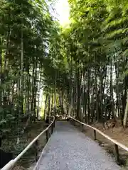 高台寺（高台寿聖禅寺・高臺寺）(京都府)