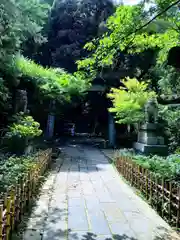 赤坂氷川神社の鳥居