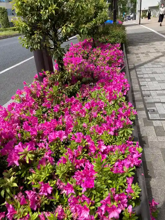 代々木八幡宮(東京都)
