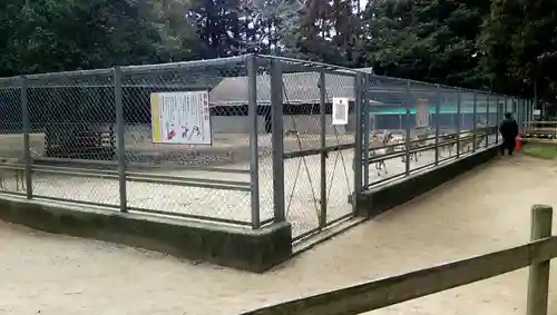 鹿島神宮のその他建物