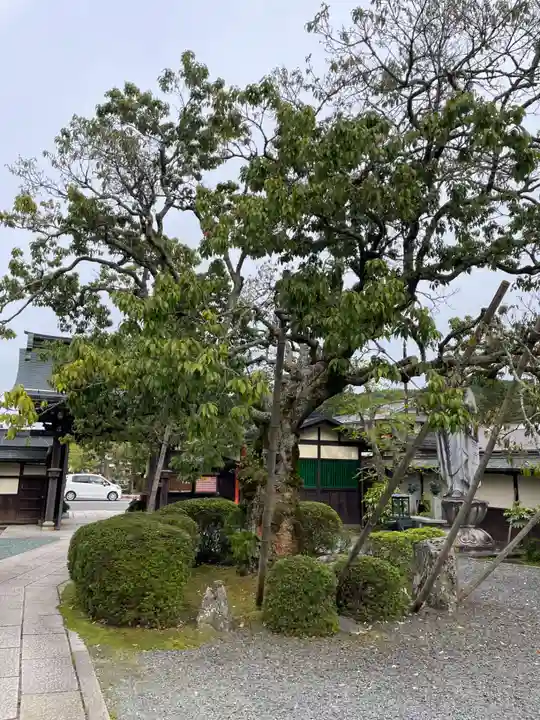 常喜院(和歌山県)