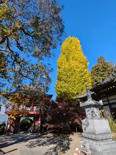 長圓寺(長野県)