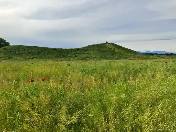 熊野神社(琵琶塚古墳)(栃木県)