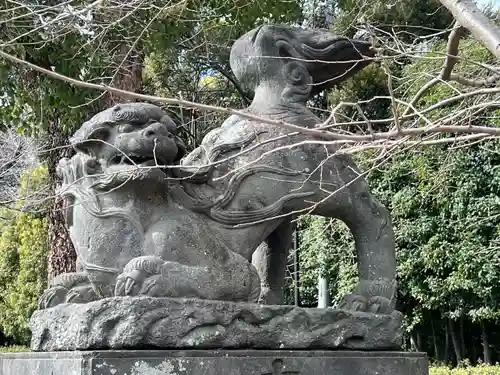 鷲宮神社の狛犬