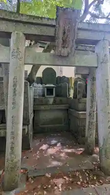 五社之瀧神社(京都府)