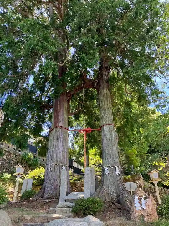 武雄神社(佐賀県)