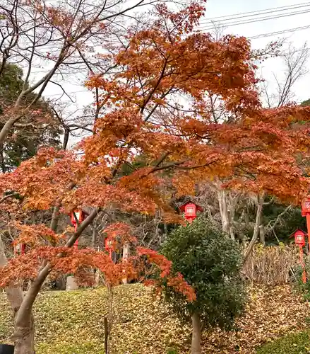 足立山妙見宮（御祖神社）の自然