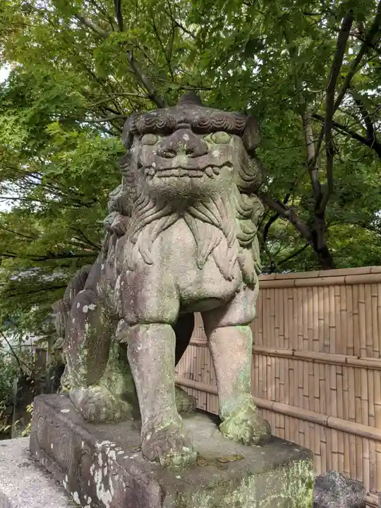 安井金比羅宮の狛犬