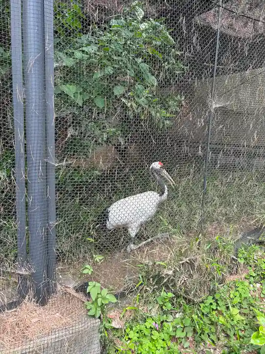 武蔵一宮氷川神社(埼玉県)