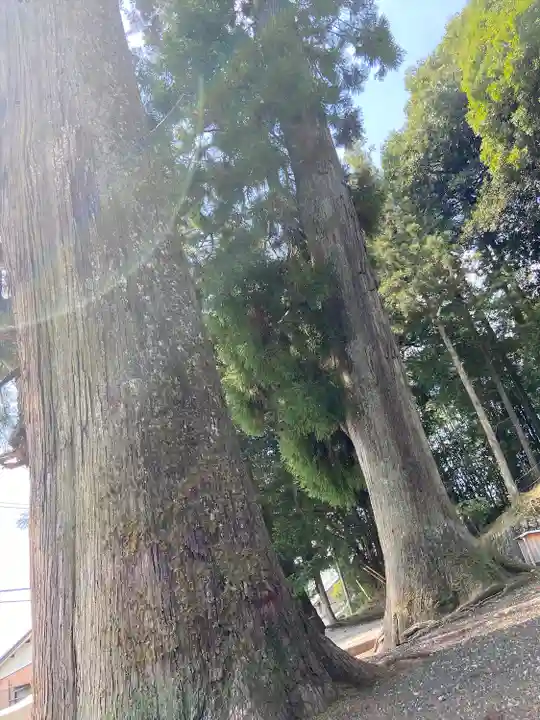 白鬚神社(岐阜県)