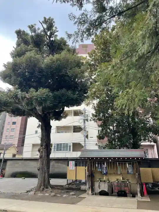駒込富士神社の{uncategorized: "未分類", other: "その他", undefined: "問題あり", building: "その他建物", grave: "お墓", sacred_gate: "鳥居", guardian: "狛犬", statue: "像", buddha: "仏像", history: "歴史", nature: "自然", garden: "庭園", animal: "動物", pagoda: "塔", temizu: "手水舎", mountain_gate: "山門・神門", sanctuary: "本殿・本堂", subordinate: "末社・摂社", art: "芸術", scenery: "景色", jizo: "地蔵", ema: "絵馬", goshuin: "御朱印", omikuji: "おみくじ", items: "授与品その他", amulet: "お守り", goshuincho: "御朱印帳", eats: "食事", festival: "お祭り", votive_dance: "神楽", shichigosan: "七五三参", wedding: "結婚式", experience: "体験その他", initially: "初詣", around: "周辺", anti_infection: "感染症対策"}