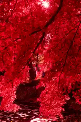大原野神社(京都府)
