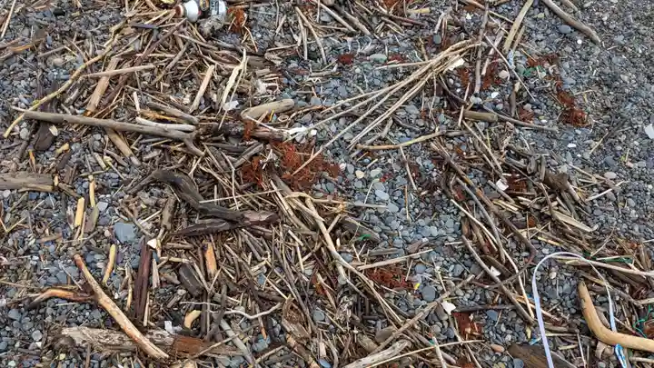 金比羅神社の庭園