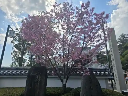中山寺(兵庫県)