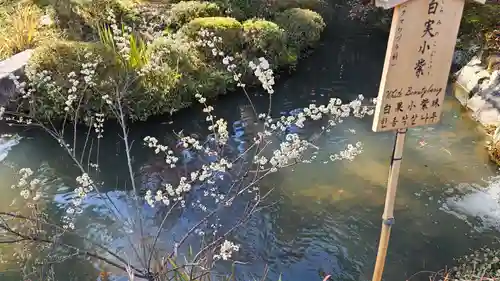 天龍寺(京都府)