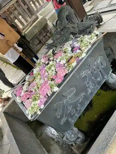 柳谷観音　楊谷寺(京都府)