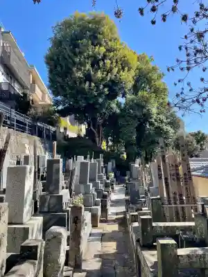 還国寺の{uncategorized: "未分類", other: "その他", undefined: "問題あり", building: "その他建物", grave: "お墓", sacred_gate: "鳥居", guardian: "狛犬", statue: "像", buddha: "仏像", history: "歴史", nature: "自然", garden: "庭園", animal: "動物", pagoda: "塔", temizu: "手水舎", mountain_gate: "山門・神門", sanctuary: "本殿・本堂", subordinate: "末社・摂社", art: "芸術", scenery: "景色", jizo: "地蔵", ema: "絵馬", goshuin: "御朱印", omikuji: "おみくじ", items: "授与品その他", amulet: "お守り", goshuincho: "御朱印帳", eats: "食事", festival: "お祭り", votive_dance: "神楽", shichigosan: "七五三参", wedding: "結婚式", experience: "体験その他", initially: "初詣", around: "周辺", anti_infection: "感染症対策"}
