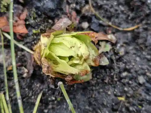 愛宕神社(福島県)