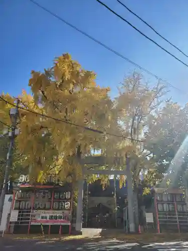 波除神社（波除稲荷神社）(東京都)