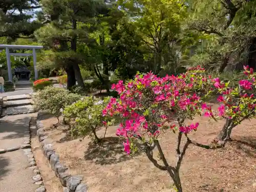 開成山大神宮(福島県)