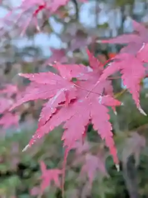 成子天神社(東京都)