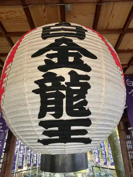 白金龍王社(愛知県)