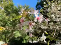 普門寺(切り絵御朱印発祥の寺)(愛知県)