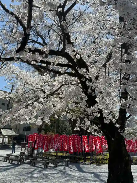 秩父今宮神社(埼玉県)
